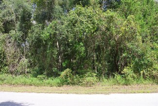 439 S Snapp Ave, Inverness, FL 34453