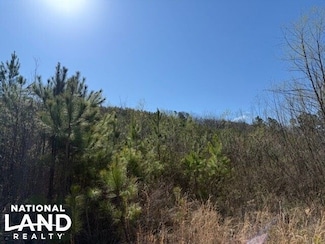 0 County Road 953, Valley Head, AL 35989