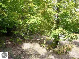 0 E Darga Rd Unit C 1741771, Cedar, MI 49496
