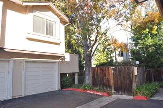 503 Boxleaf Ct Unit 74, San Jose, CA 95117