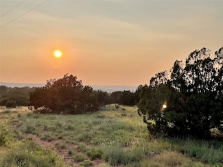 44 Pintada Loop Rd, Santa Rosa, NM 88435