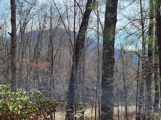 14 Flaming Ridge, Hayesville, NC 28904