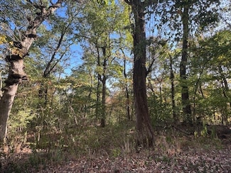 7 Sycamore Ln, Eureka Springs, AR 72631