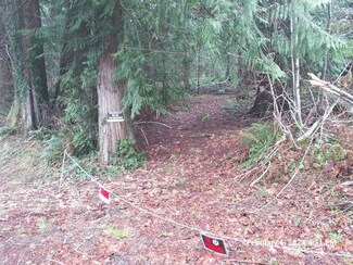 1610 E Beaver Ave, Shelton, WA 98584