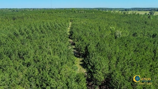 0 Allmon Rd Unit 25510364, Butler, GA 31006