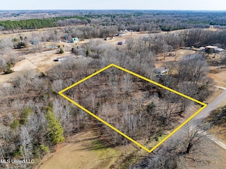 62 Shamrock Loop, Byhalia, MS 38611
