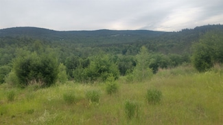 0 Homewilde Ln Unit 4724017, Northfield, VT 05663