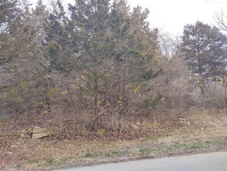 0 12 13 14 43 44 Fernwood Cir Unit 21026030, House Springs, MO 63051