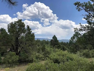 58 Silver Feather Trail, Pecos, NM 87552