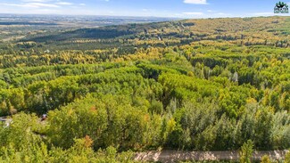 NHN Wideview Rd, Fairbanks, AK 99709