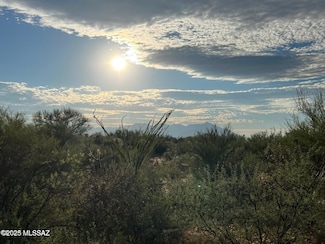 15966 W Phillips Rd Unit 270, Tucson, AZ 85736