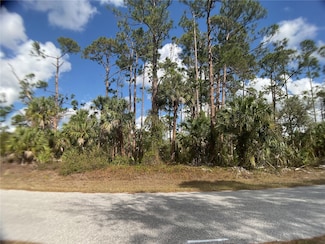 18126 Dillon Ave, Port Charlotte, FL 33954