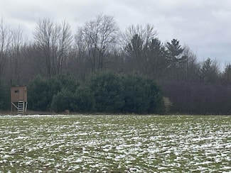 Par A Nimberger Rd, Cato Township, MI 48850