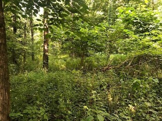 0 Old Union Rd Unit 1338375, Dunlap, TN 37327