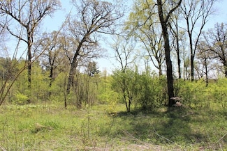 Lot 20 Masters Dr, Union Grove Township, IL 61270