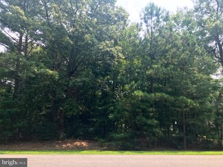 11165 Lord Baltimore Dr, Swan Point, MD 20645