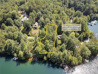 Lots #1 & #1A Lower Panther Creek Rd, Stecoah, NC 28771