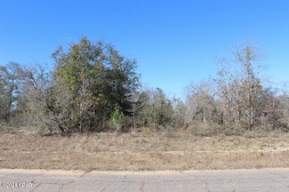 0 Dumont Ave Unit Lot 8 767270, Chipley, FL 32428