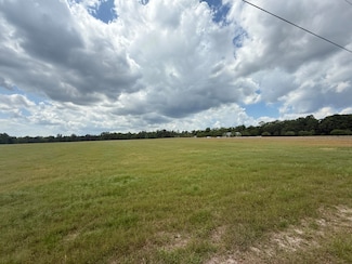 Tbd Mt Beulah Dr Rd, Windsor, SC 29856