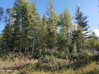 113 Trail Blazer Ct, Pinehurst, ID 83850