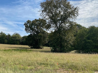 Lot 20 Castlepines Dr, Greenbrier, AR 72058