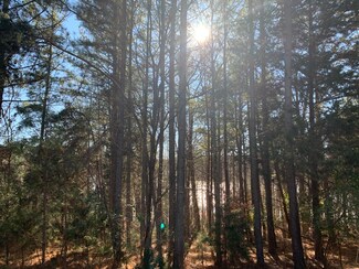 Lot 117 Island Point Dr, Gretna, VA 24557