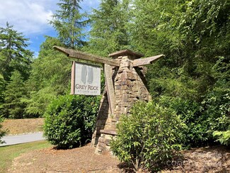 0 Grey Rock Pkwy Unit 225 CAR4156895, Lake Lure, NC 28746