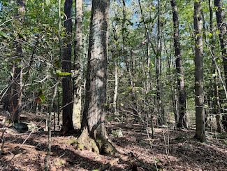 0 Overlook Rd, Dreher Township, PA 18445