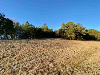 0000 Red Dog Rd, Carthage, MS 39051