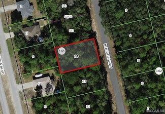 8702 N Zurich Way, Citrus Springs, FL 34434