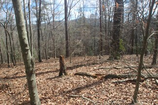 Lt A-16 Morningside Ct, Ellijay, GA 30540