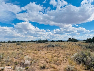 4115 N State Route 64 Unit Lot D, Williams, AZ 86046