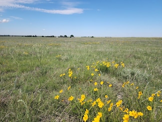 Tbd County Road 12, Rush, CO 80833