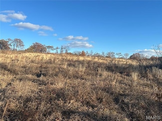 11918 Spring Town Rd, Breton Township, MO 63660