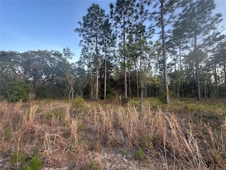 LOT 3 NW Amberjack Ave, Dunnellon, FL 34431