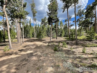 1482 Shoshoni Dr, Red Feather Lakes, CO 80545