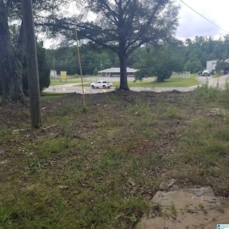 11284 Us Hwy, Riverside, AL 35135