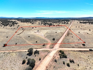 158 Park Rd, Seligman, AZ 86337