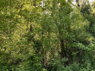 0000 Lee Branch Rd, Kanawha Falls, WV 25115