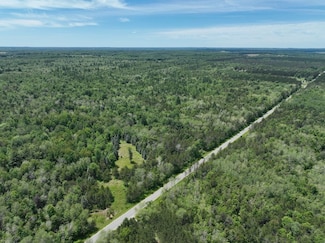 0 V L 13 Mile Rd, Bitely, MI 49309