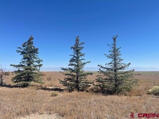 44001 County Road M, Center, CO 81125
