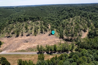 Tract 8 County Road 126, Waterloo, AL 35677