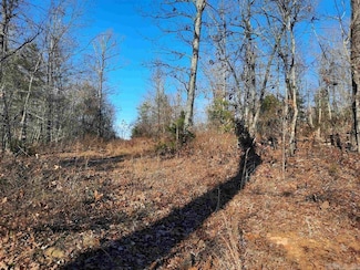 00 Wildhaven Rd, Mountain View, AR 72560