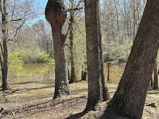 Lot 12 Coon Bottom Estates, Ponce de Leon, FL 32455