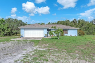 17023 Alderman Turner Rd, Wimauma, FL 33598