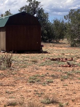 00 Off of Rainy Rd, Ash Fork, AZ 86320