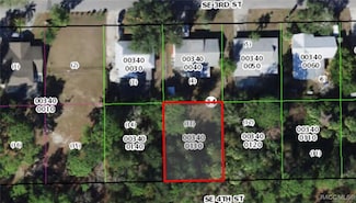 1133 SE 4th St, Crystal River, FL 34429