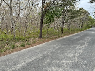36 Boylston Dr Unit 1.329, Edgartown, MA 02539