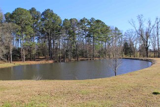 1 Upshaw Rd, Vaughan, MS 39179