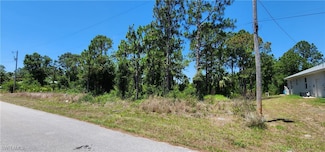 332 Lillon Ave S, Lehigh Acres, FL 33974